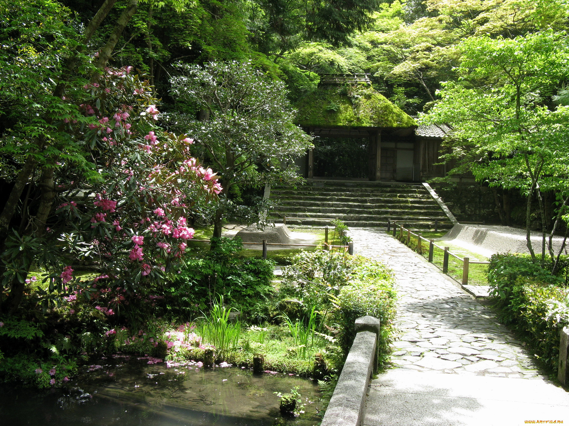 , honen, kyoto, , , , 